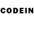 Псилоцибиновые грибы GOLDEN TEACHER Game toha233