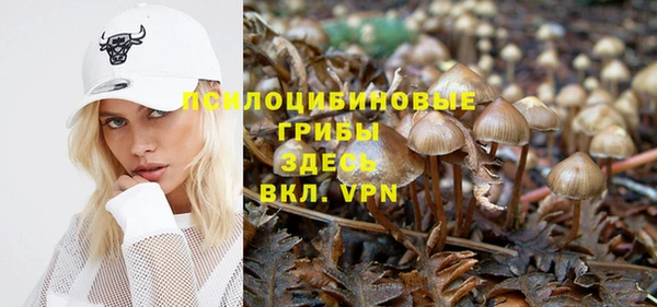 прущие крисы Алексеевка