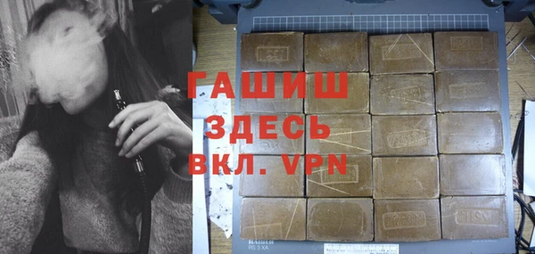 гашик Алексин