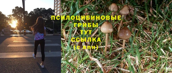 ешки Алзамай