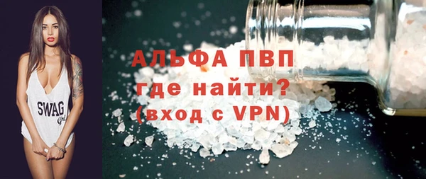 гашик Алексин